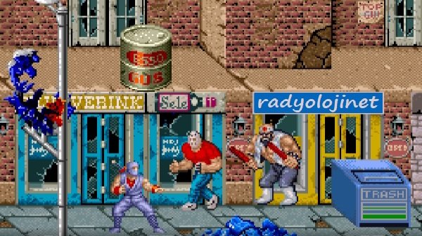 Shadow Warriors 🕹️ Play Game Online