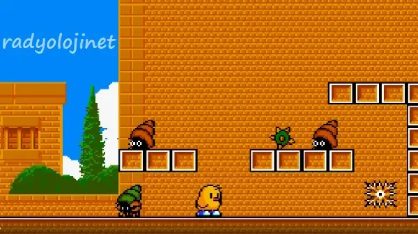 The NewZealand Story 🕹️ Play Game Online