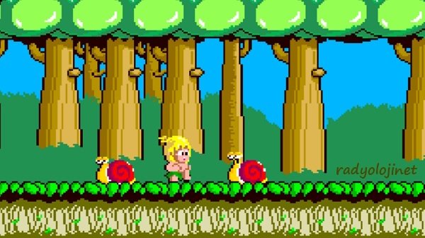 Wonder Boy 🕹️ Play Game Online