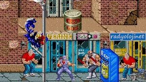 Ninja Ryukenden - Play Game Online