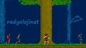 The Legend of Kage - Play Game Online