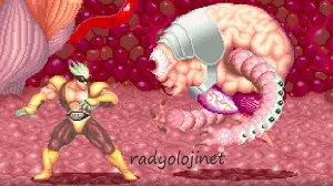 Monster Maulers - Kyukyoku Sentai Dadandarn