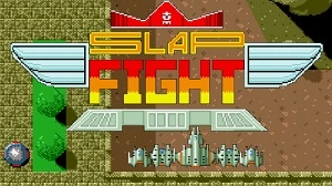 Slap Fight